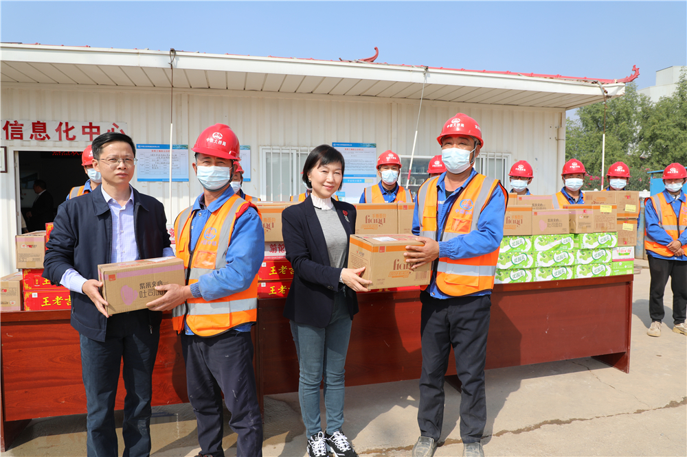 新澳金龙资料大全