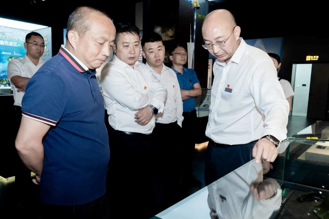 新澳金龙资料大全